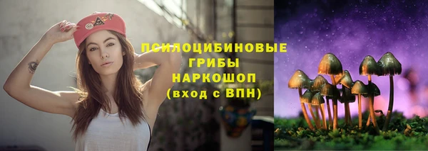 mdpv Майский