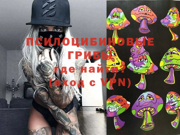 гашик Лиски