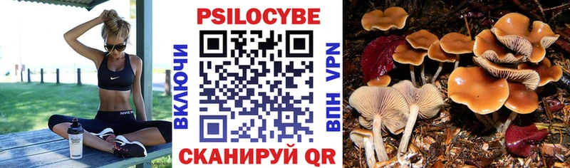 Купить закладки  Бугульма  Галлюциногенные грибы Psilocybine cubensis 